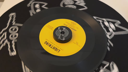 "Birds" 45 RPM Turntable Adapter